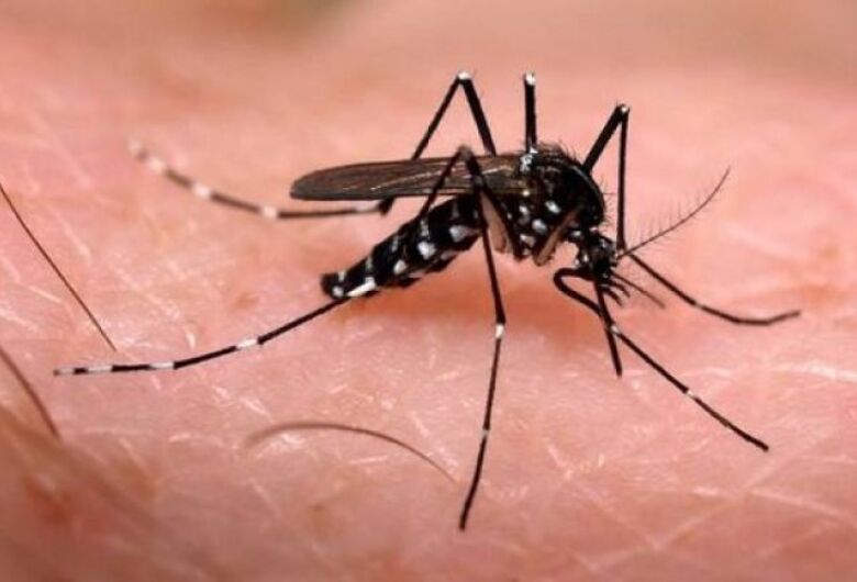 São Carlos lidera mortes por dengue na região com 18 óbitos 