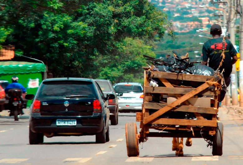 Carroça e charretes: 93% da população é contra esse meio de transporte em São Carlos