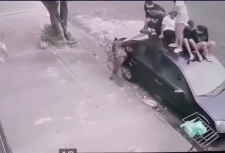 Crianças sobem em teto de carro para escaparem de pitbull; veja vídeo 