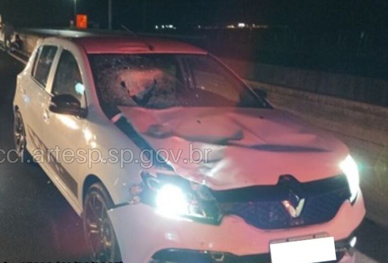Pedestre morre atropelado na SP-330