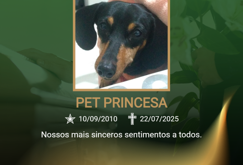 Homenagem do Grupo Santa Cruz a pet Princesa