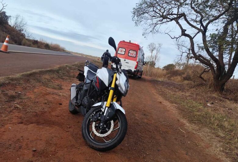 Motociclista fica ferido após atropelar capivara na estrada do Broa