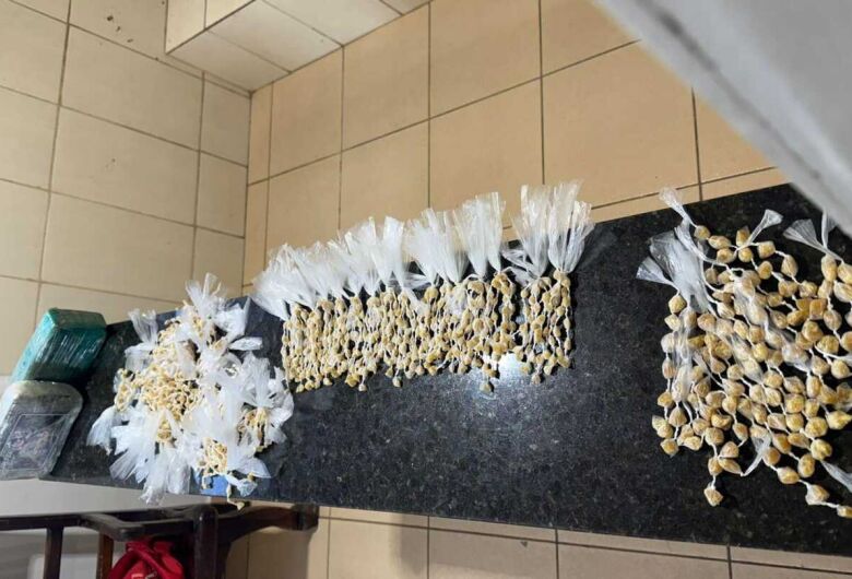 Homem é preso com mais de 2 kg de drogas na região da rodoviária