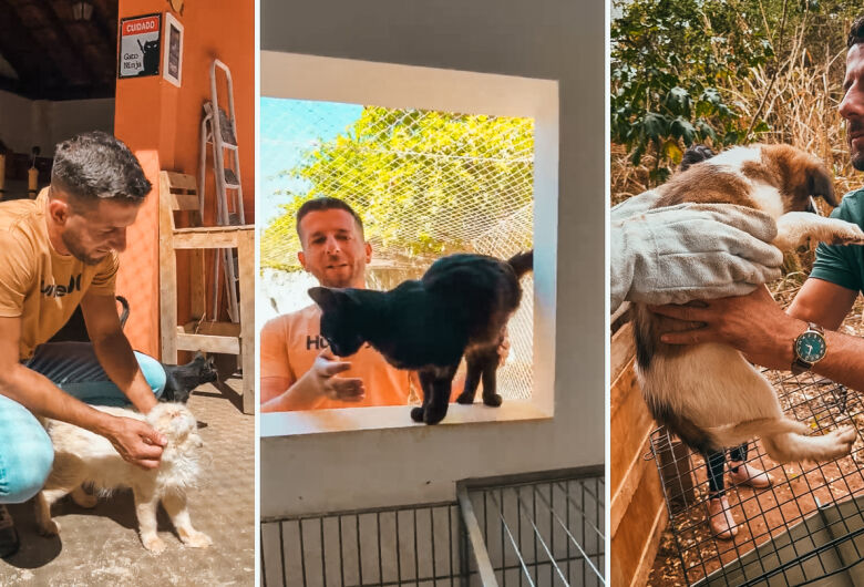 Castrações, microchipagem e testes FIV/FELV: Elton Carvalho destina recursos para ONG ASA 