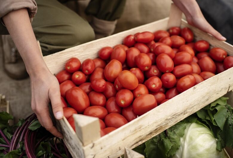 Tomate Pizzad’oro registra forte recuo e fica 41% mais barato no atacado da CEAGESP
