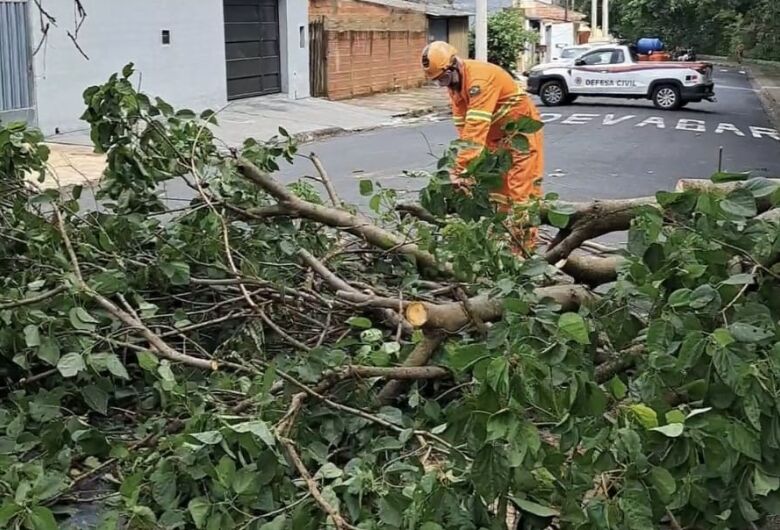 Defesa Civil de Ibaté remove cinco árvores derrubadas pelos fortes ventos
