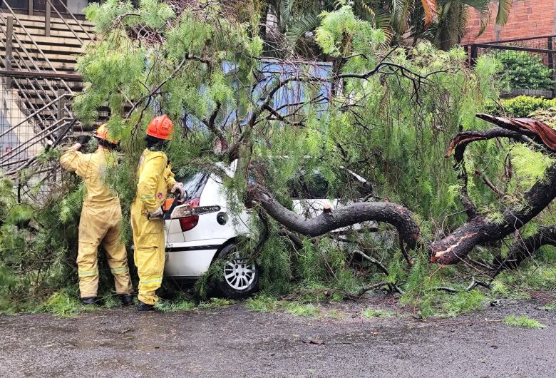 Árvore cai sobre veículo no Parque Delta após forte chuva