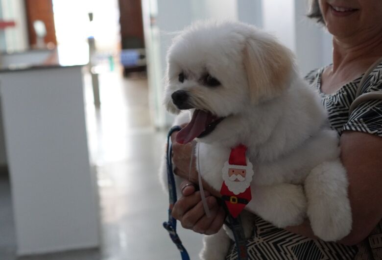 Paciente internado há longo período recebe visita de animal de estimação na Santa Casa