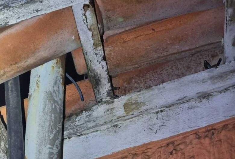 Casal é detido com fios furtados próximo à Biblioteca Amadeu Amaral