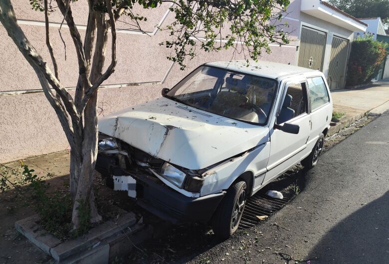 Motorista se distrai com cachorro e colide carro contra árvores no bairro Boa Vista