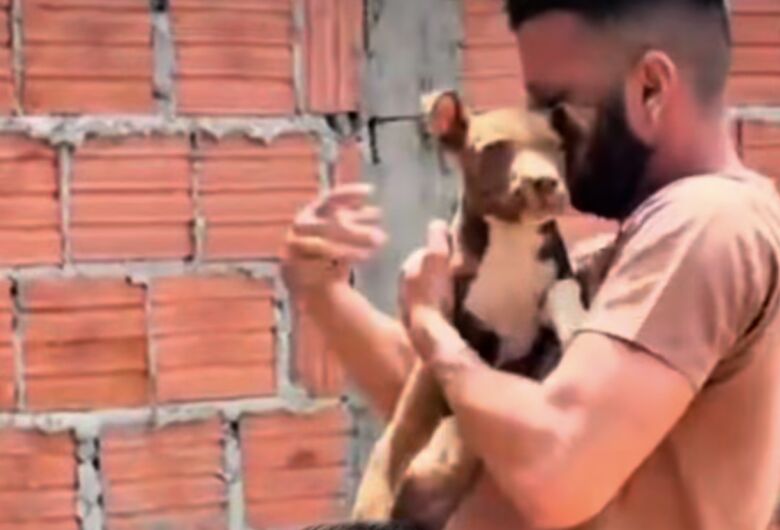 Cachorra vítima de espancamento é adotada durante feira no Canil Municipal