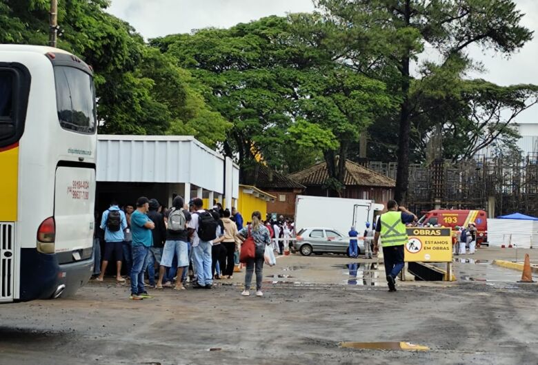 Chuva derruba árvore de grande porte e causa queda de dois postes no Presidente Collor