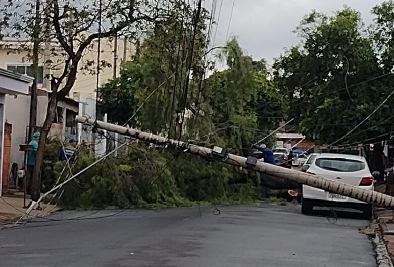 Chuva derruba árvore de grande porte e causa queda de dois postes no Presidente Collor