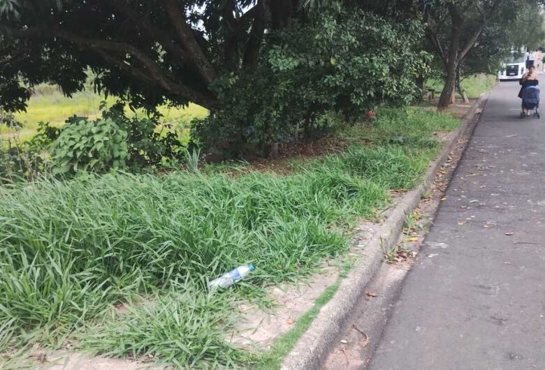 Moradores denunciam infestação de animais em terreno público próximo a escola infantil