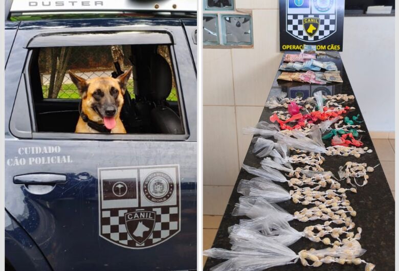 Homem é preso por tráfico de drogas após ação do Canil da Guarda Municipal no Boa Vista