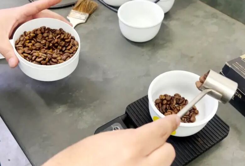 São Carlos pode produzir cafés especiais e integrar rota turística