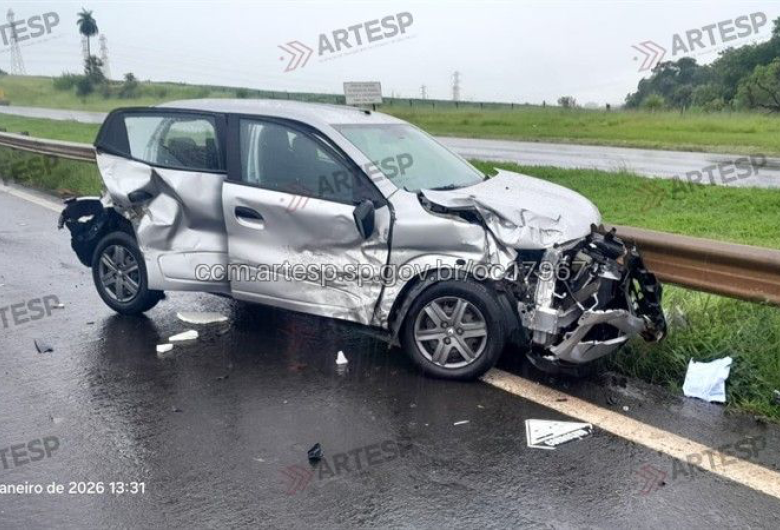 Cachorro na pista causa acidente na Washington Luís 