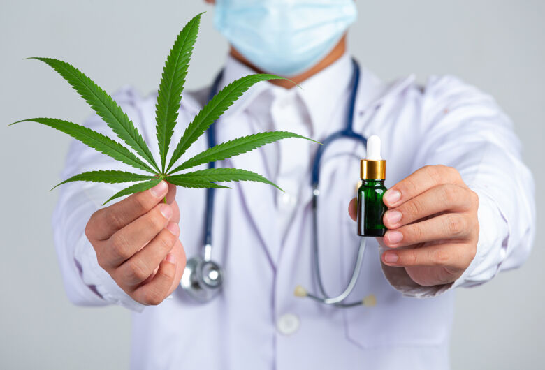 Anvisa discute liberação controlada da produção de cannabis medicinal