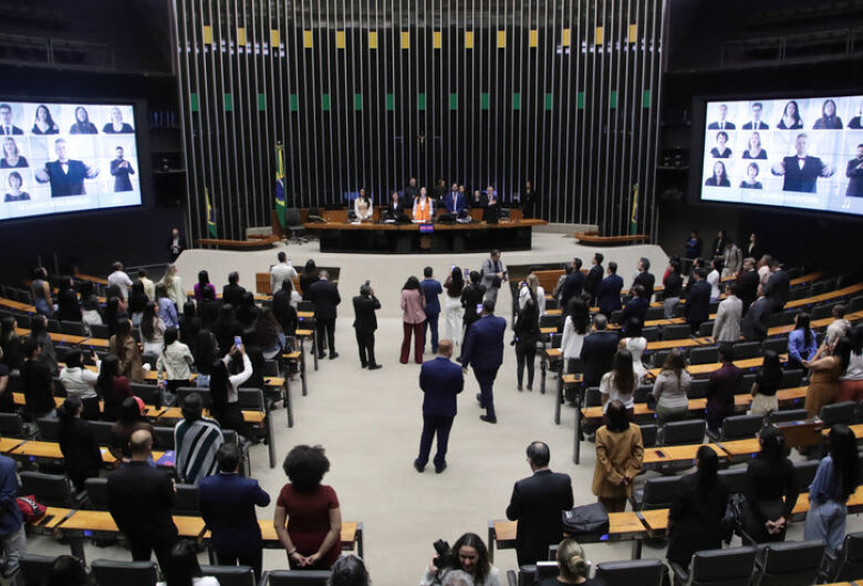 Cargos em disputa nas Eleições 2026: o que faz um deputado federal?