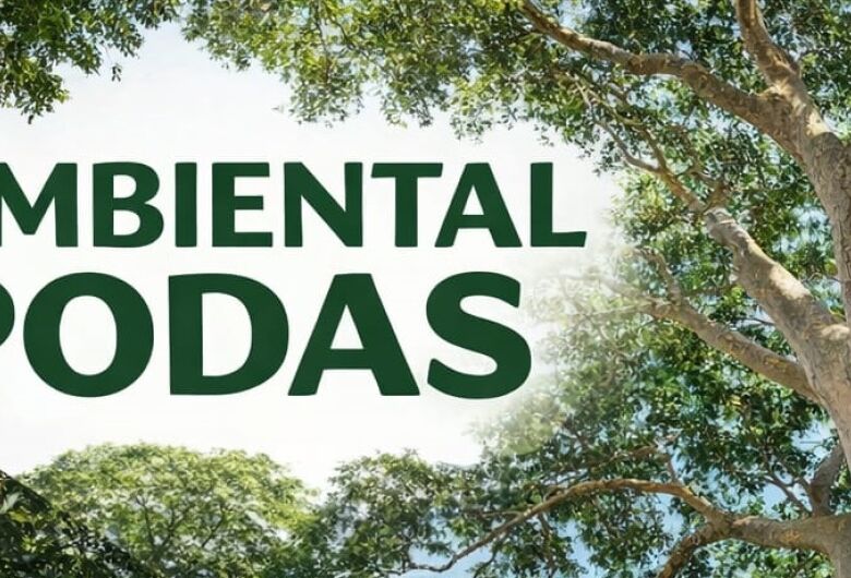 Empresa oferece serviços especializados em manejo e corte de árvores