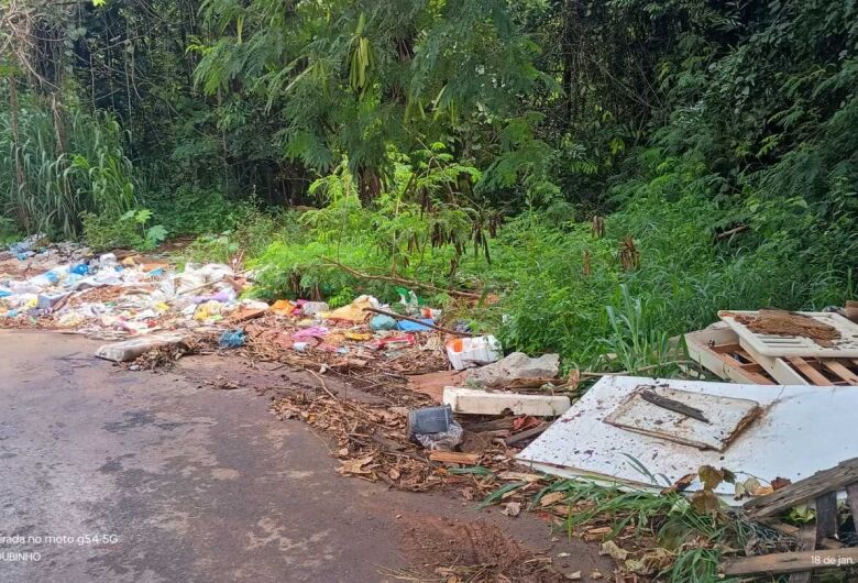 Moradores do Santa Felícia pedem limpeza em área com mato alto e risco de escorpiões