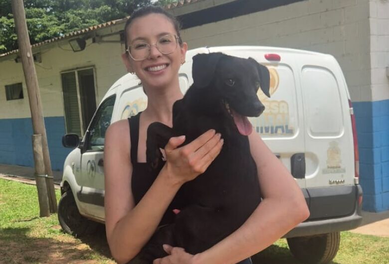 Canil Municipal promove 2ª Feira de Adoção de Cães e Gatos neste sábado