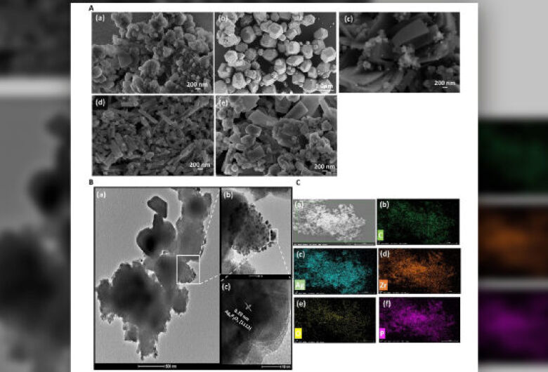 Pesquisadores de São Carlos avançam em materiais porosos premiados com o Nobel de Química 2025
