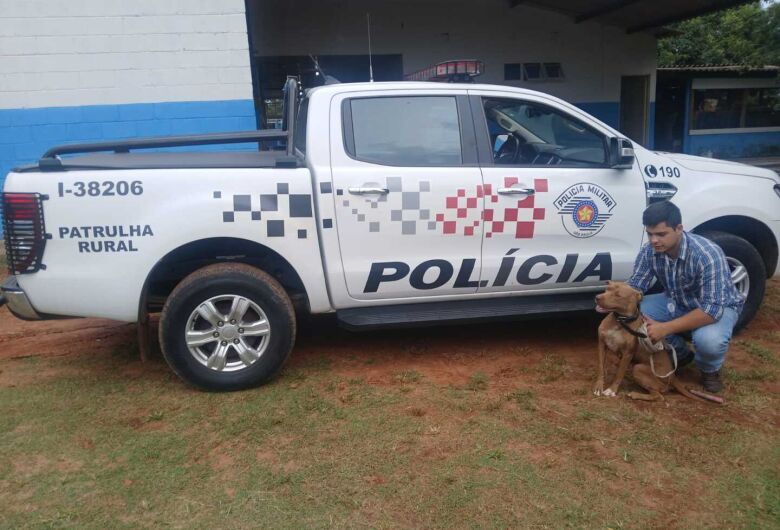 Patrulha Rural da Polícia Militar resgata pitbull abandonada na SP-215