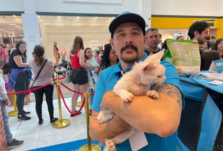 Shopping Iguatemi recebe 2&ordm; Encontro de gatos de raça raras 