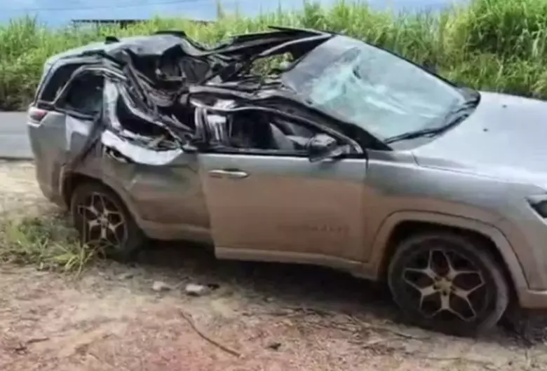 Bebê de 1 ano morre após árvore cair sobre carro