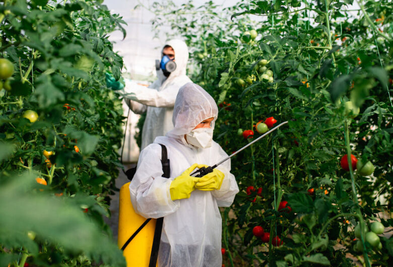 Pesquisadores do IFSC/USP desenvolvem sensor biodegradável para detectar agrotóxicos em alimentos