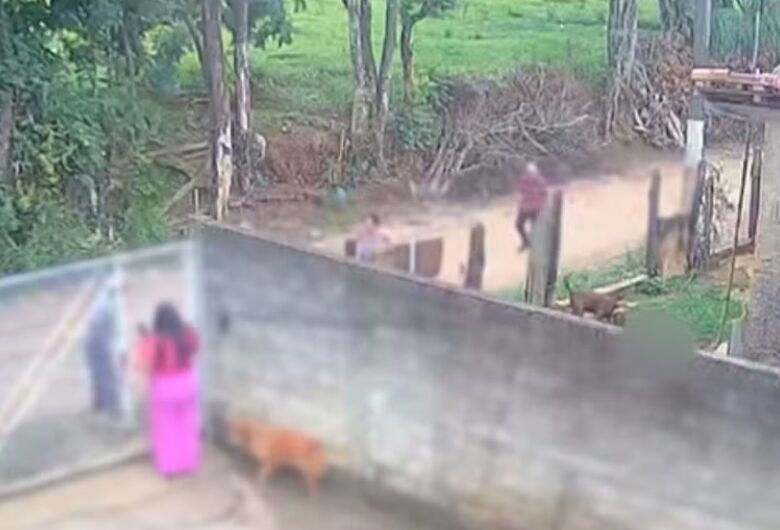 Bebê de 11 meses morre após ser atacado por pitbull no interior de SP 