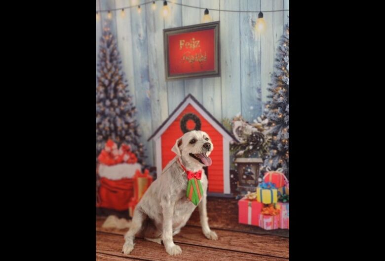 Homenagem da Funerais Pet ao cachorrinho Thor e a cachorrinha Duda