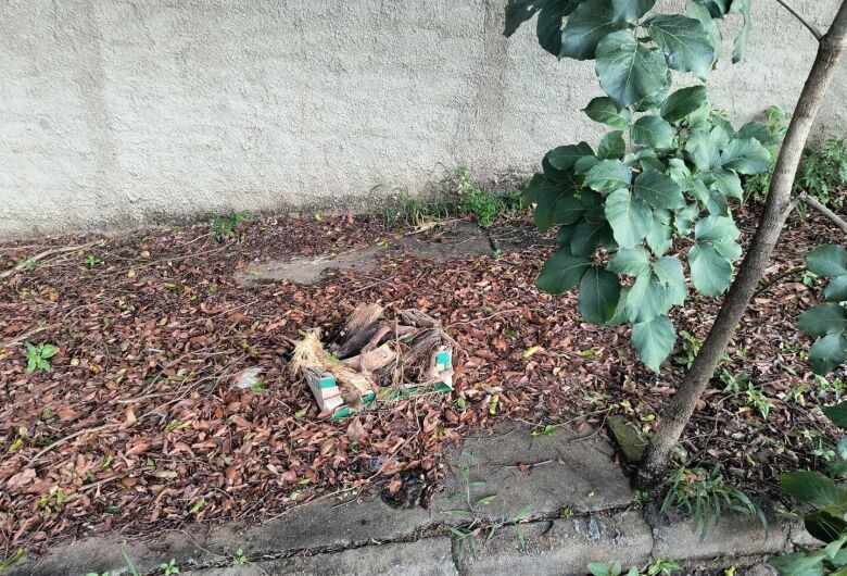 Moradores cobram por limpeza e segurança no entorno da Escola Conde do Pinhal