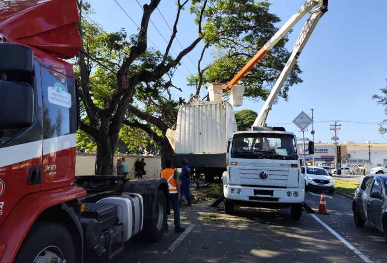 Caminhão colide em árvore e complica o trânsito na região do cemitério Nossa Senhora do Carmo 