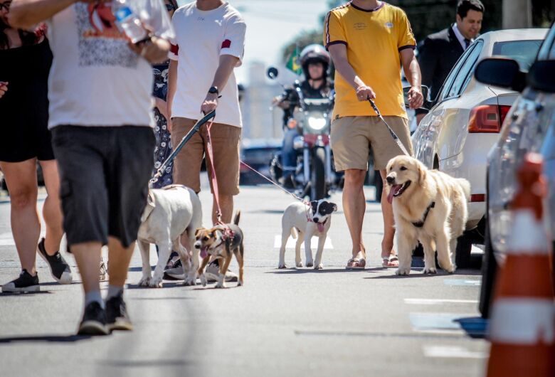 Caminhada Pet reúne tutores e arrecada ração para animais resgatados em São Carlos