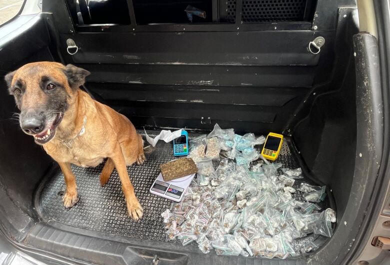 Equipe do Canil do BAEP localiza drogas durante operação no CDHU 