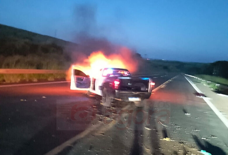 Motorista escapa de tragédia após atropelar capivara e veículo pegar fogo na SP-215
