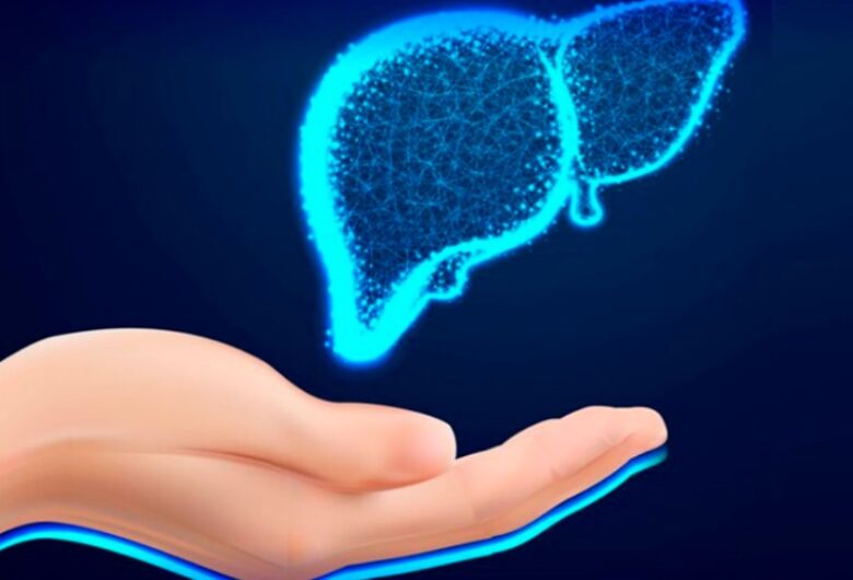 Rede de moléculas pode ajudar a diagnosticar gravidade de doenças do fÃgado