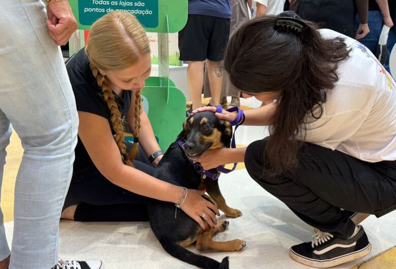 Shopping São Carlos promove 1&ordm; "Cão-curso" em celebração ao Dia Nacional dos Animais