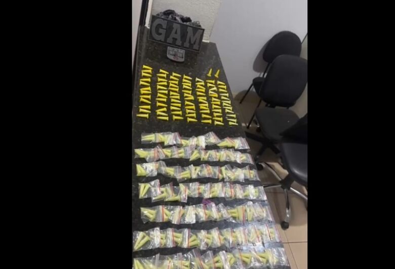 GAM localiza mais de 200 pinos de cocaína escondidos em árvore na Vila Jacobucci