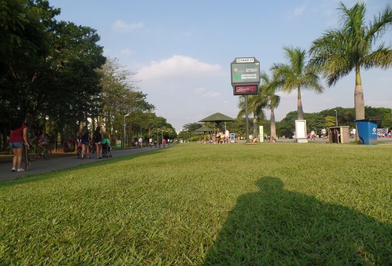 Não é só concreto: São Paulo esconde áreas verdes que pouca gente conhece