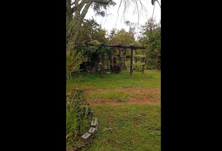 Moradores do Recanto das Oliveiras contestam ação e alegam conservação ambiental