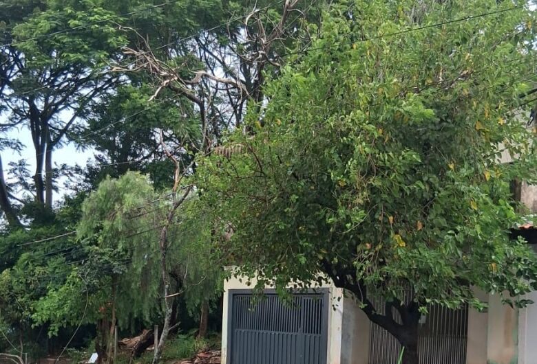 Árvore cai sobre residência no Cidade Aracy após chuva