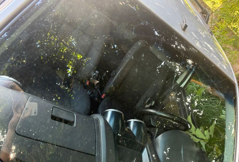 Galho de árvore cai sobre carro no Jardim Paulista