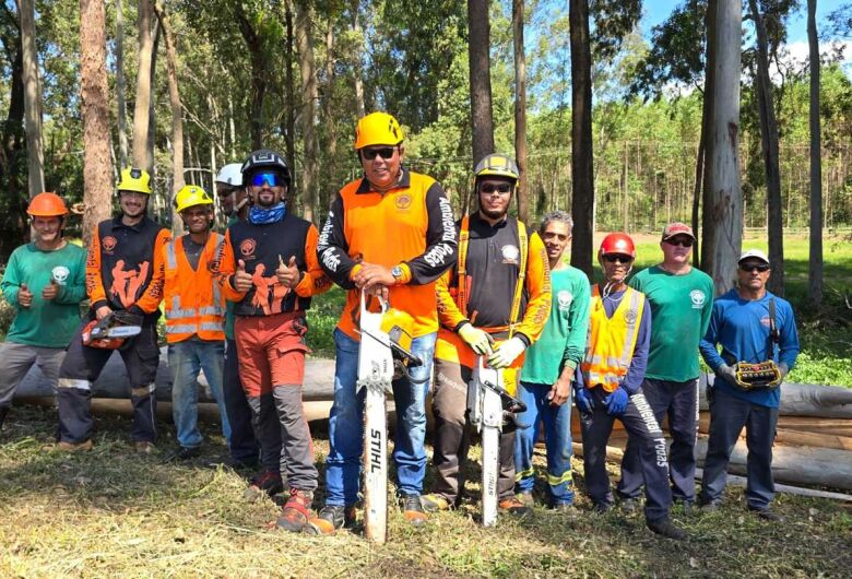 Ambiental Podas oferece soluções completas para manejo e preservação de árvores