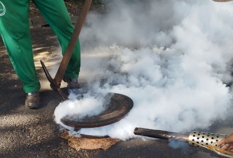 Prefeitura de Ibaté realiza dedetização em toda a cidade para combater pragas urbanas