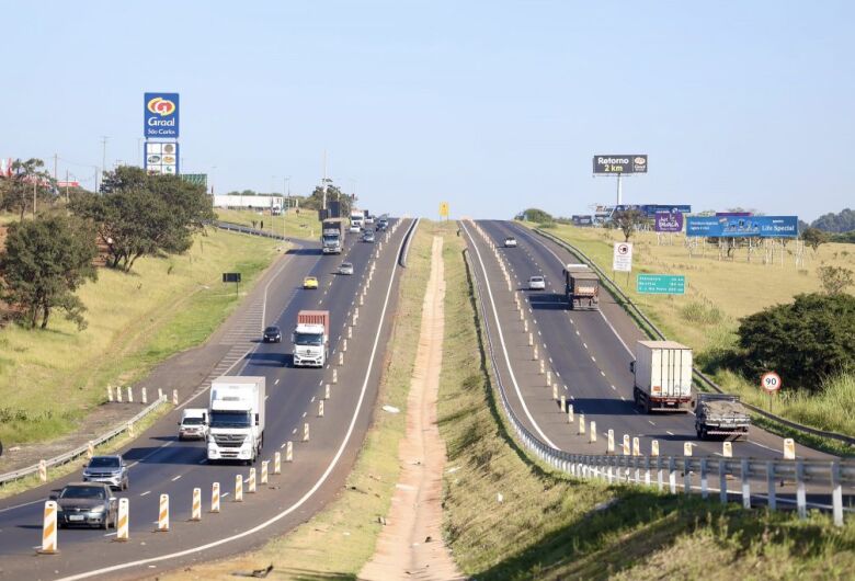 Condutor relata atropelamento na rodovia Washington Luís, mas vítima não é localizada