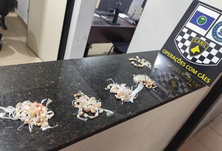 Canil da GCM encontra drogas em praça no Jardim Ricetti