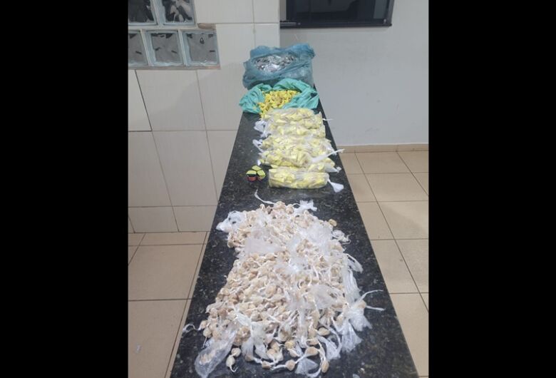 Força Tática apreende grande quantidade de drogas em residência no Presidente Collor